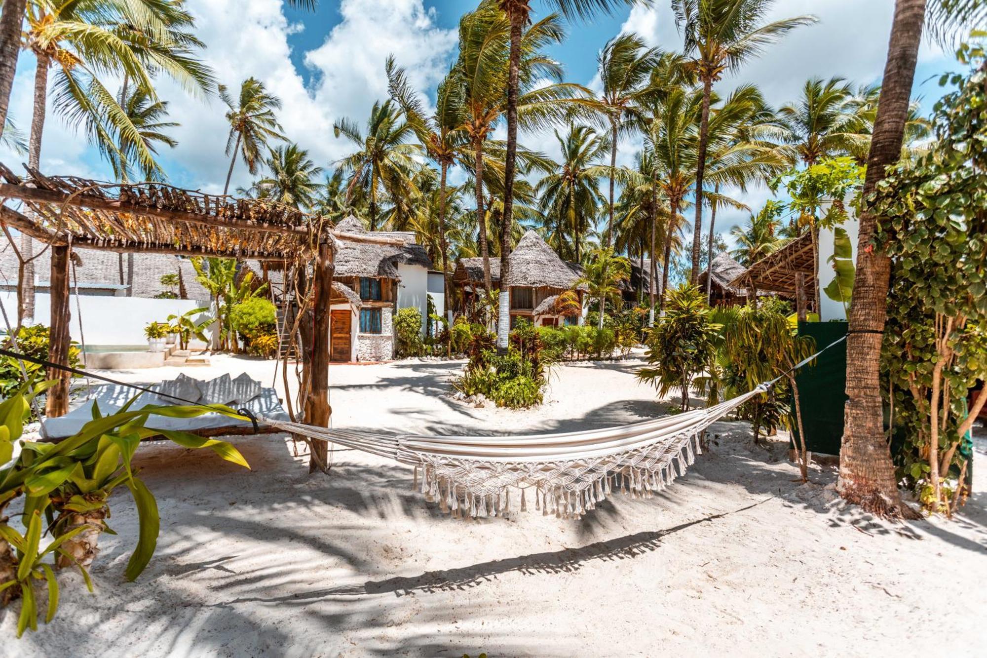 Maisha Matamu Beach Hotel Paje Exteriér fotografie